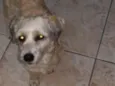 Ted 