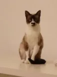 Julieta
