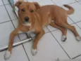 marley