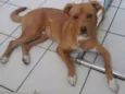 marley