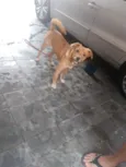 marley