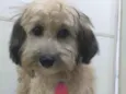 Ted 