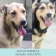 Baco e Fiorella