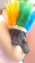 Não tem