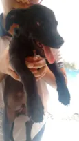 Não tem
