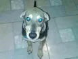 Bob