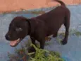 Não tem