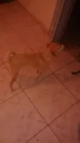 Lili