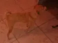 Lili