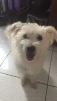 Johnny