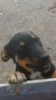 Kena