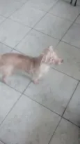 Bob