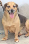 Jully