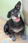 XUXA PEQUENA