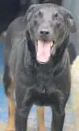 Bruce