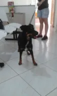 Lena