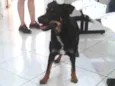 Lena