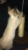 Bobby 