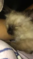 Bobby 