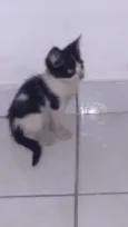 Não coloquei nomes