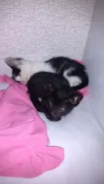 Não coloquei nomes