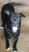 Mel