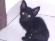 Não coloquei nomes