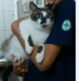 Félix
