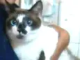 Félix