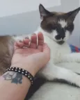 Félix
