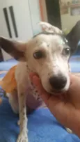 TEQUILA