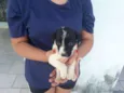 floquinho