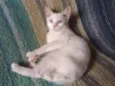 Rita