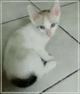 Pepê e Dudu