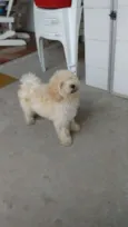 Mel