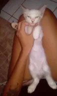 luna, luck e juno