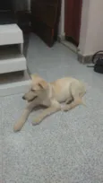 Linda