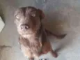 lUMA