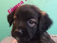Sem nome definido 