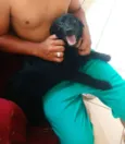 Bob