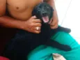 Bob