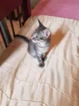 Nao possui