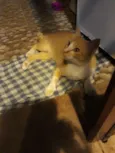 ?