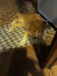 ?