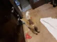 ?