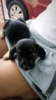 nao tem