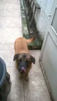 Lola
