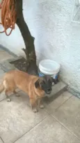 Lola