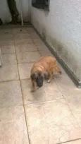 Lola