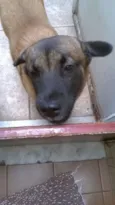 Lola